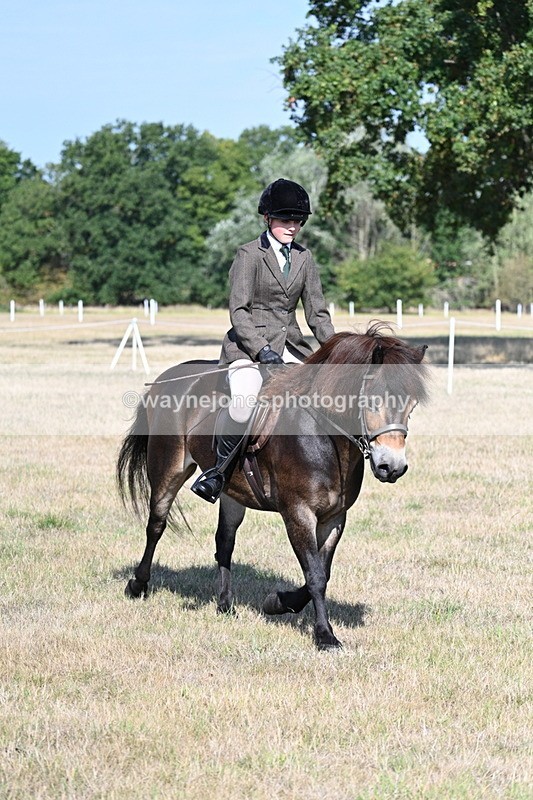 WJ7_2937 - Class 8 Ridden Tack & Turnout