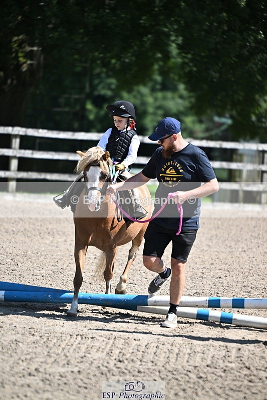 240729B-111719-02288 - Showjumping Competition