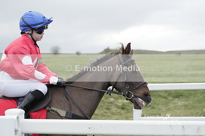PtP 260323 0990 - New Forest Hounds Point-to-Point Larkhill 26/03/23