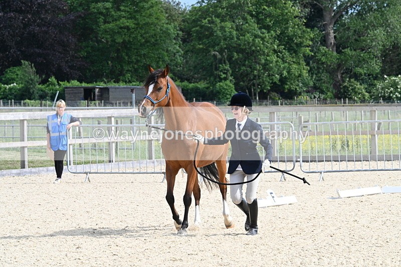 WJ7_8247 - Time 16:10 to 16:25