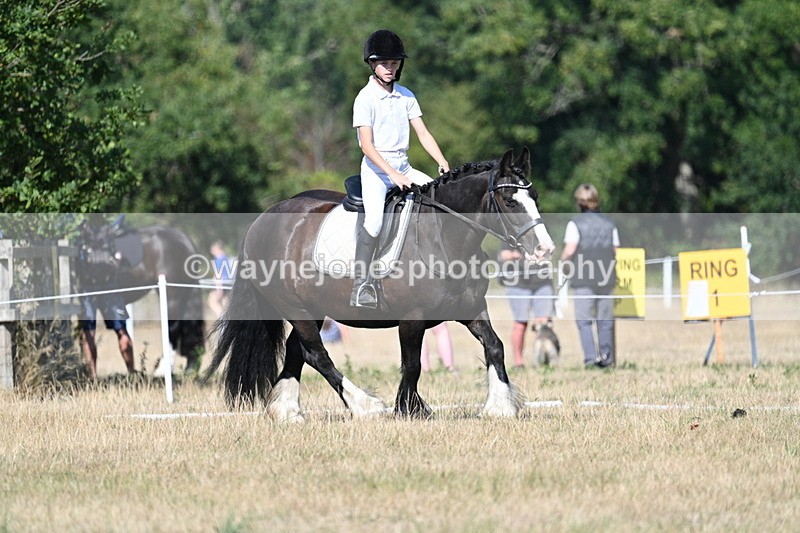 WJ7_9565 - Time 10:32 to 10:55