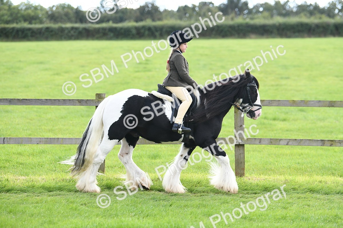 SBM_46736 - S12 - Family Horse & Pony