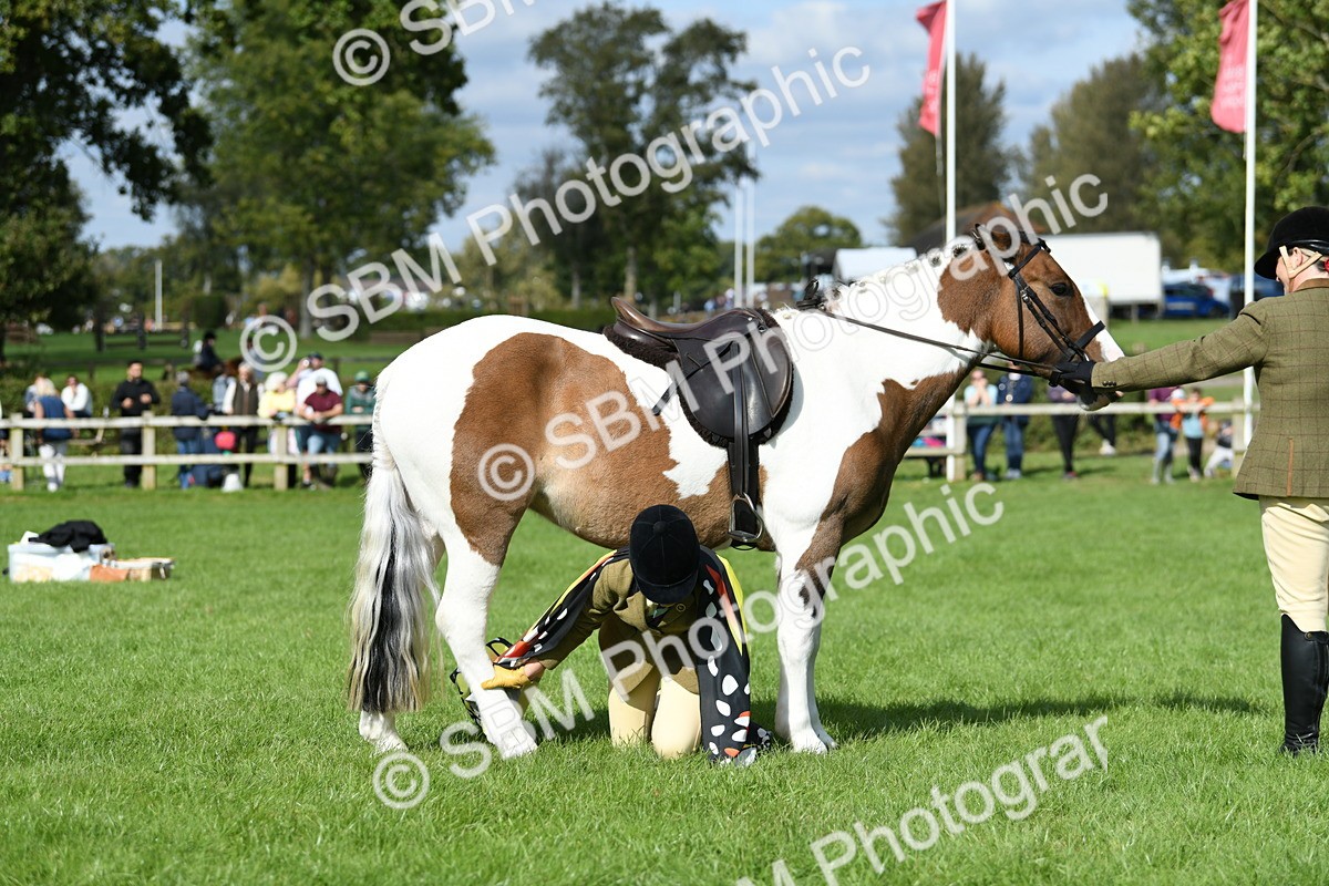 SBM_47136 - S12 - Family Horse & Pony
