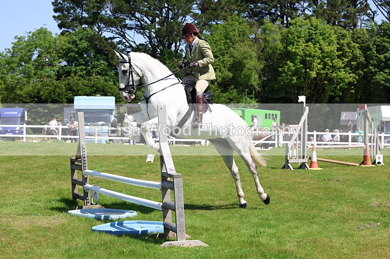 3E7A6904 - Class 30: Novice Working Hunter