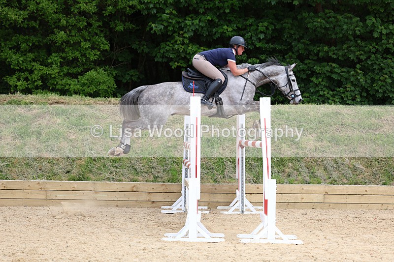 3E7A7432 - Class 8: Senior Foxhunter/1.20 open