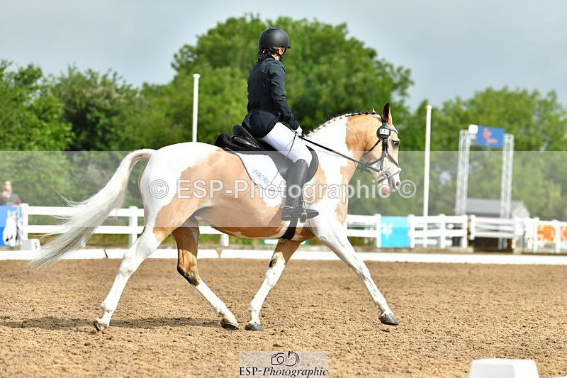 230708A-093652-02161 - Prelim 13