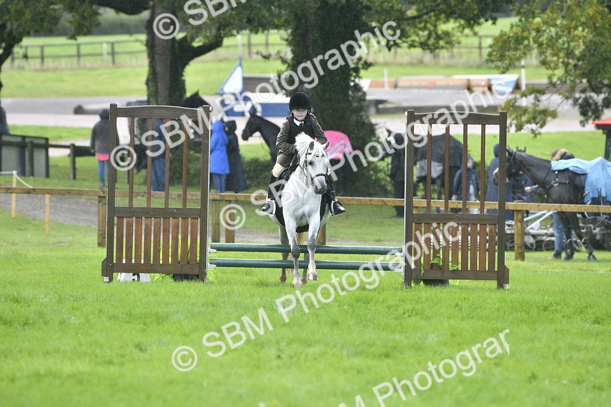 SBM_37160 - S31 - Novice & Newcomer Working Hunter Pony