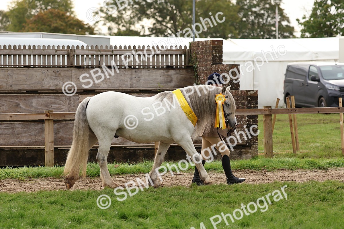 SBM_59748 - Start Supreme Championship