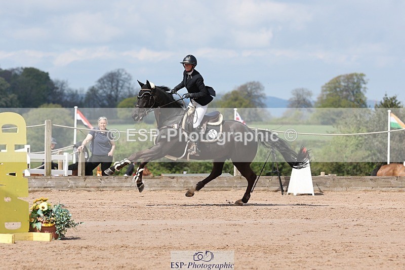 250427-114232-16052 - Cls 36 Young Horse 7yr old