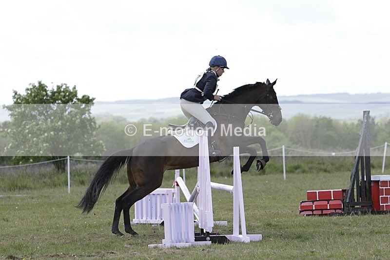 BVHT 140517 N-301 - Class 2 SJ Novice 14/05/17