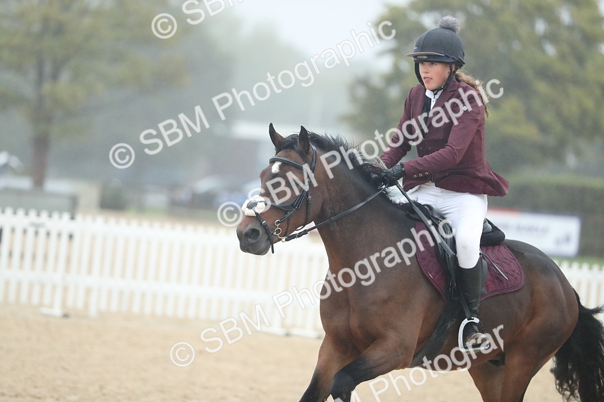 SBM_74217 - Supreme championship Junior Pony 70cm 75cm