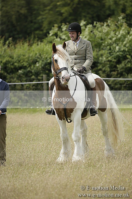 B230619-0446 - Bourne Valley Riding Club Summer Show 23/06/19