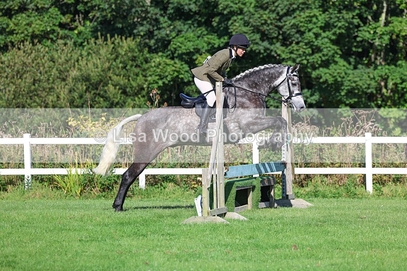 3E7A7766 - Class 2: Open Working Hunter pony