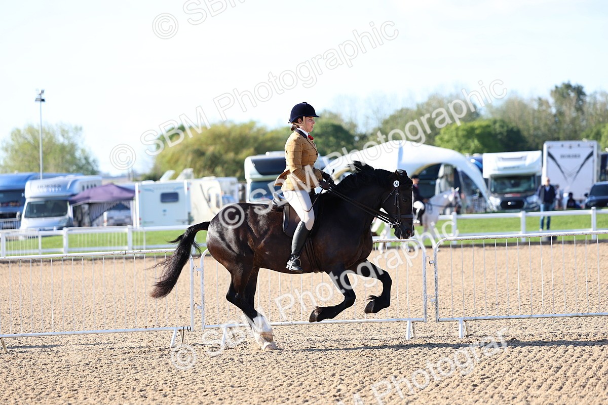 SBM_08767 - Class 302 - Ridden M&M - Large Breeds