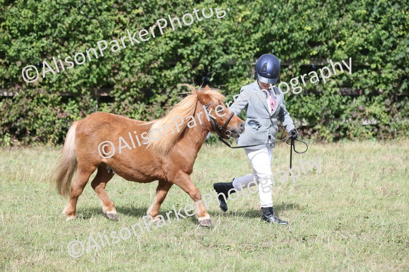20250831-1759 - Previous show - Lambourn 2025