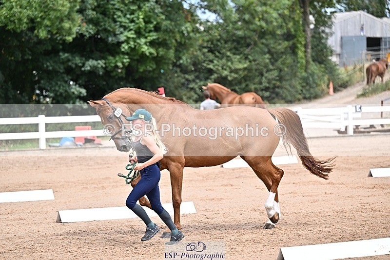 250716-130840-00361 - Trot Up 12.30 to 1.30