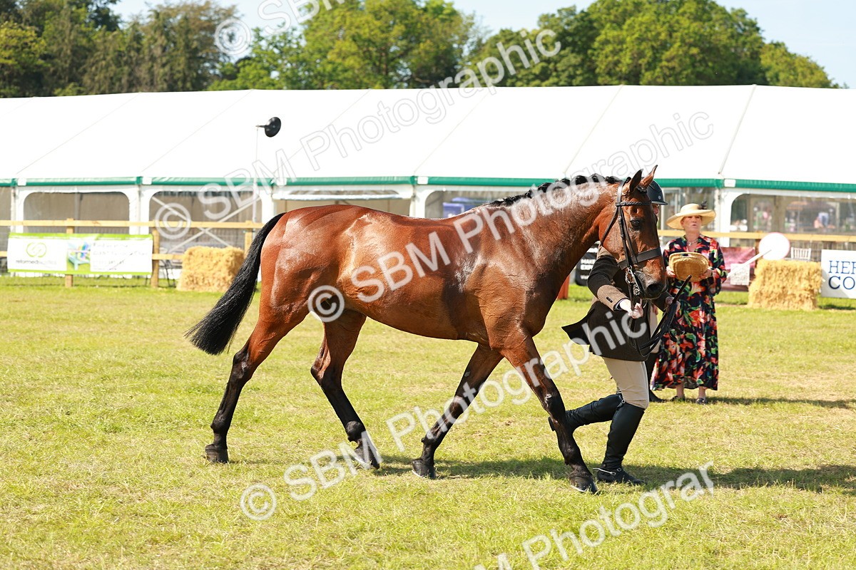 SBM_12078 - Class 66-69 - RIHS Ridden Hunters Inc Small Hunter