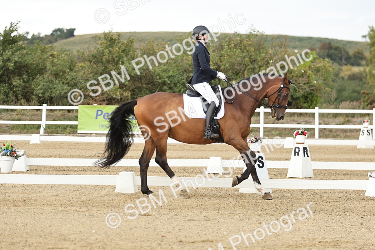 SBM_006519 - Class 21 - Medium 5 Bronze - 9.08-9.48