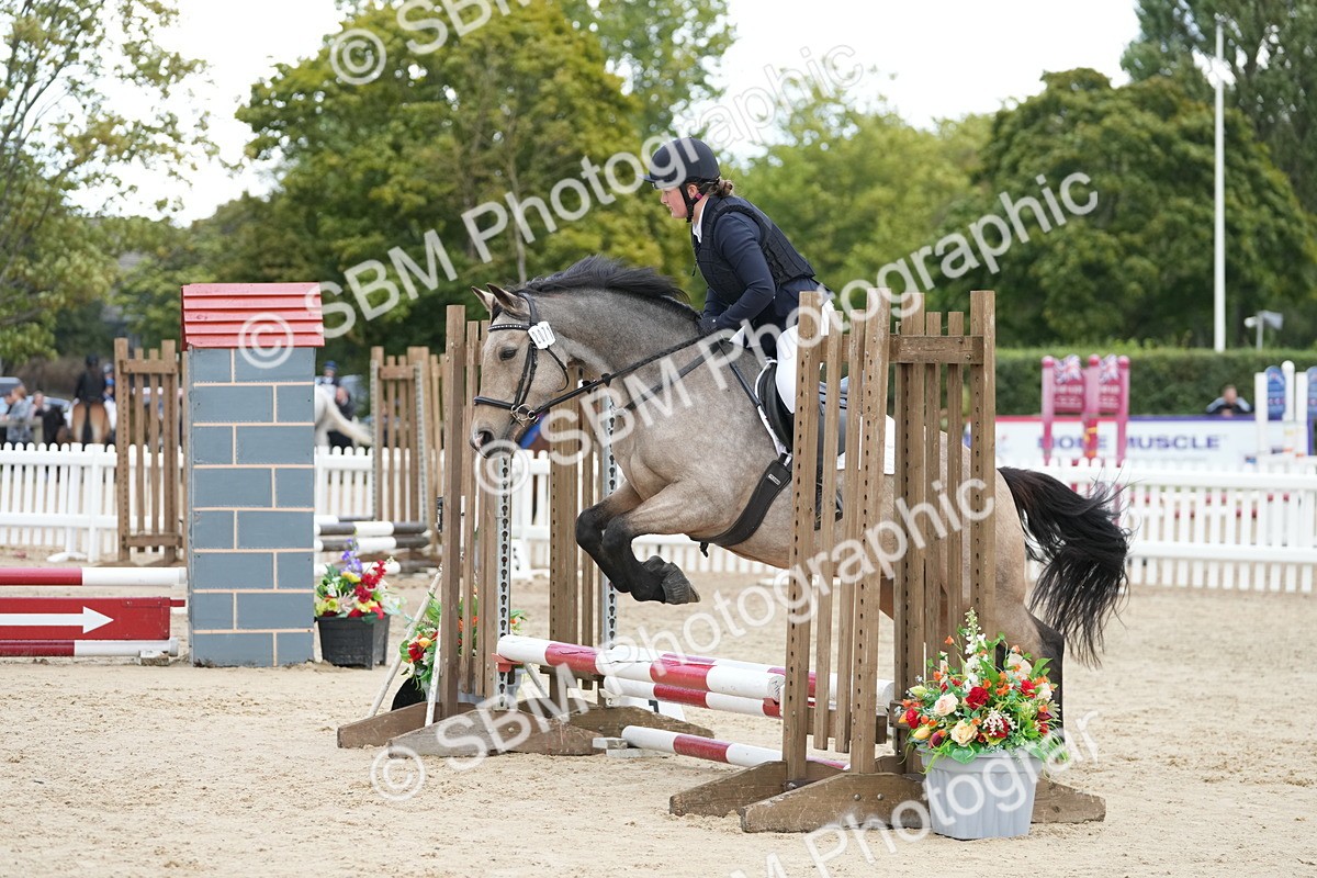 SBM_20699 - J49 - Open 50cm