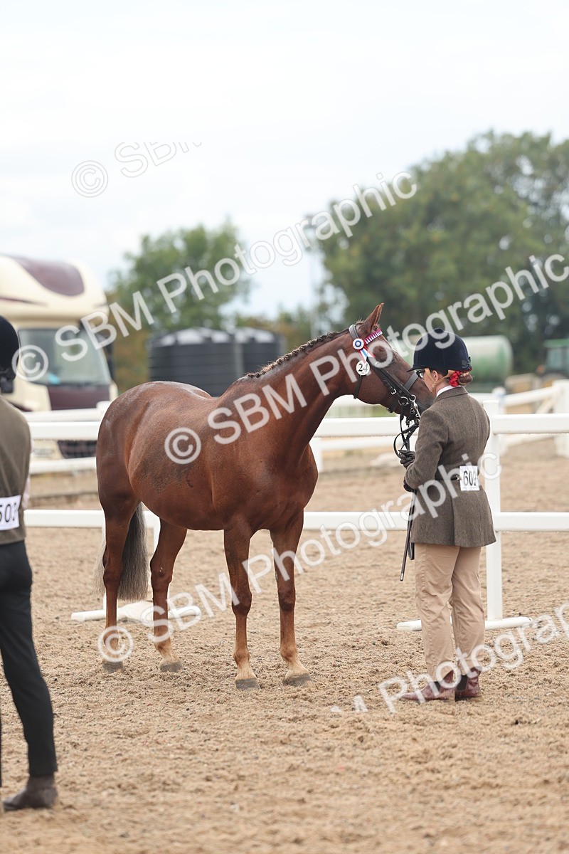 SBM_07783 - Class 27 - IH Competition Horse/Pony