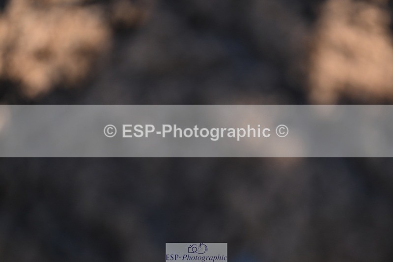 251203-121535-00438 - Cls 3 Snr 1.05m Open