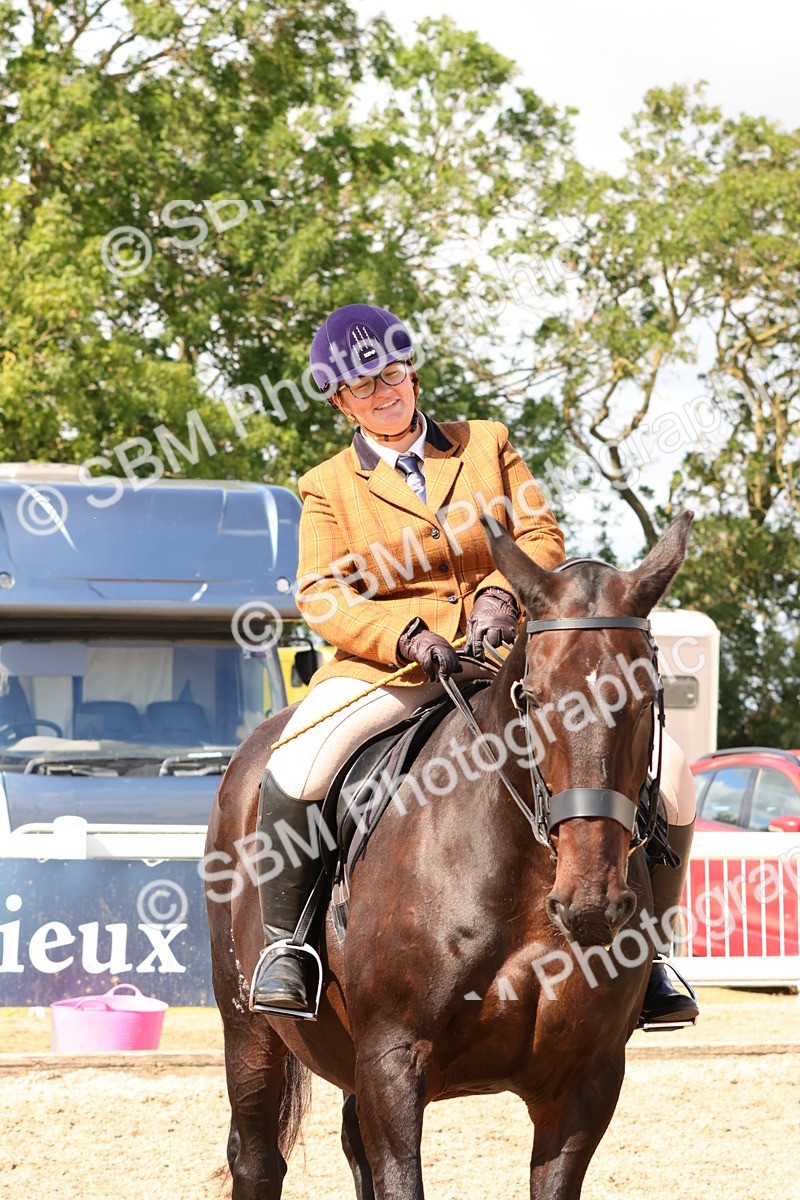 SBM_13524 - Class 212 - Ridden Hunter  - Large