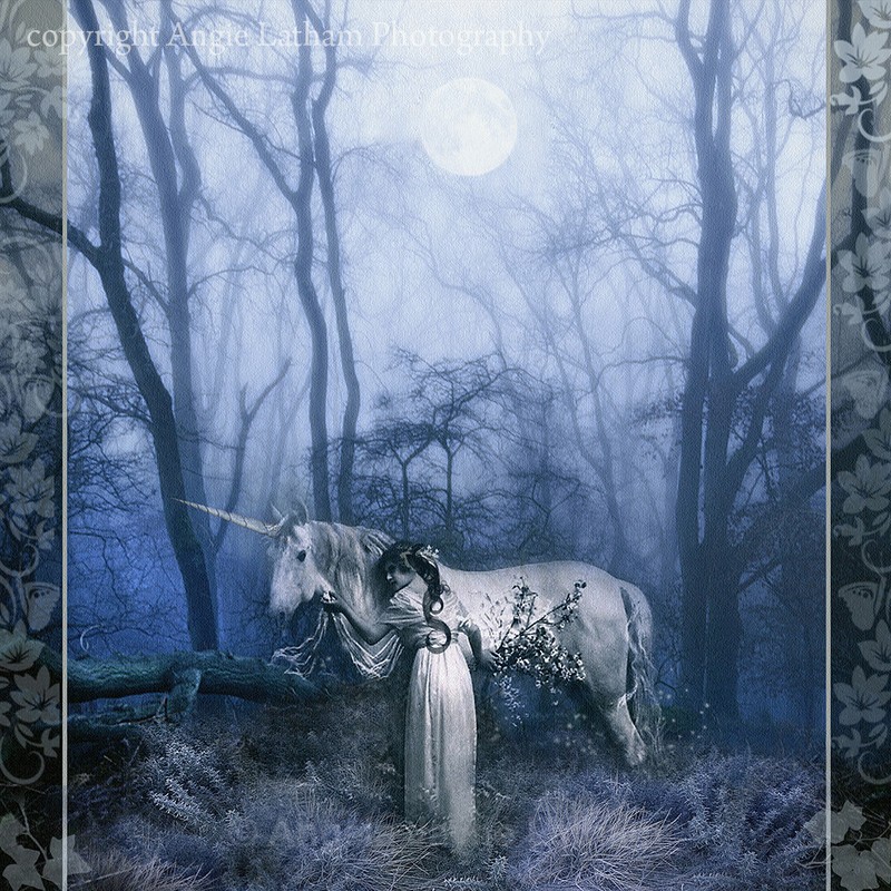 AS034 The Meeting in the Woods - Magic & Mystery