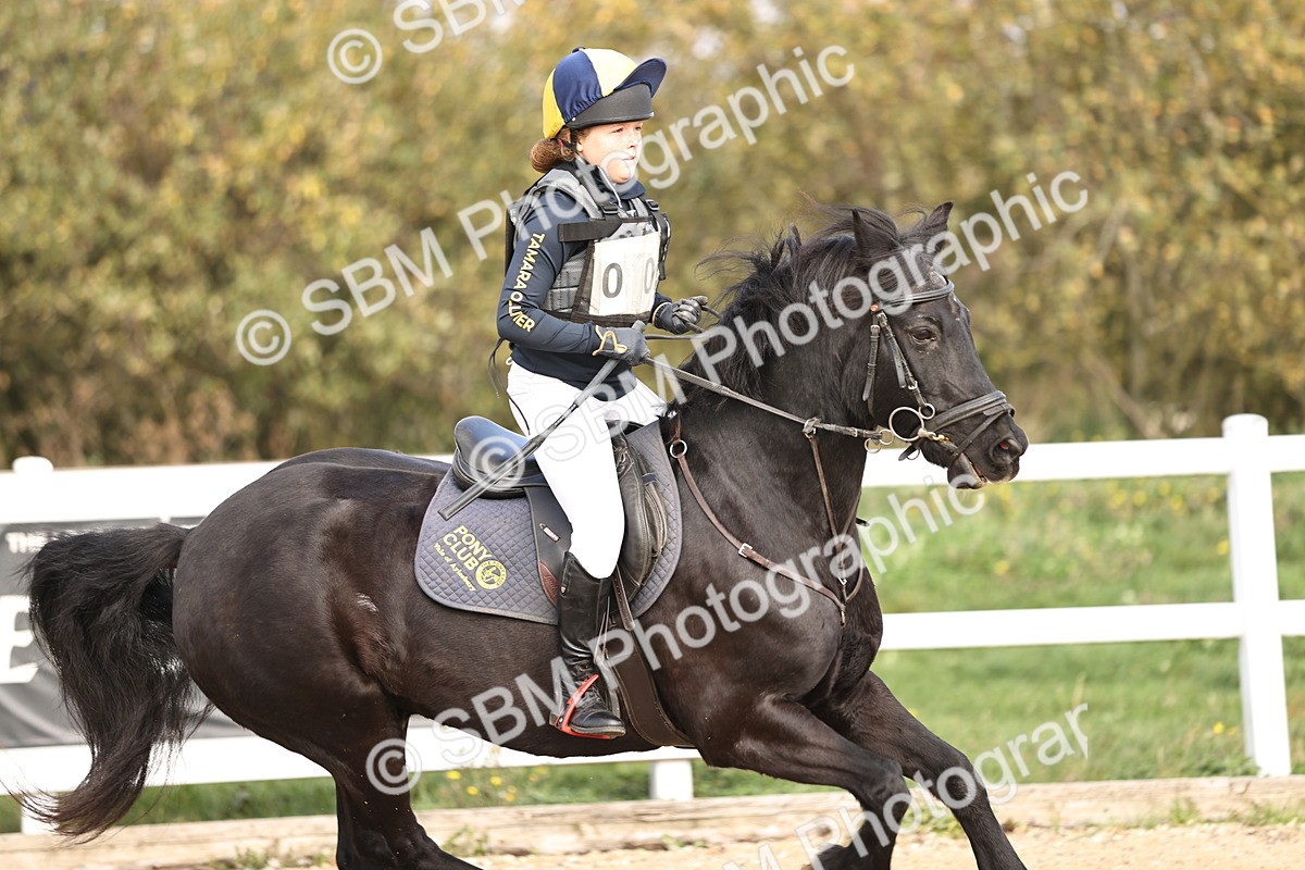 SBM_003161 - Class 2 - 80cm