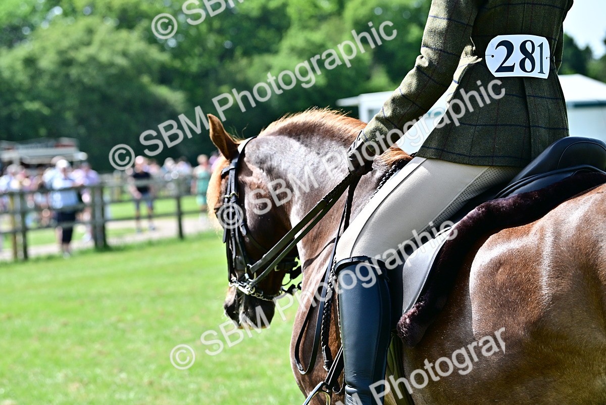 SBM_03791 - Class 58 - TSR  Ridden Veteran Amateur of the year