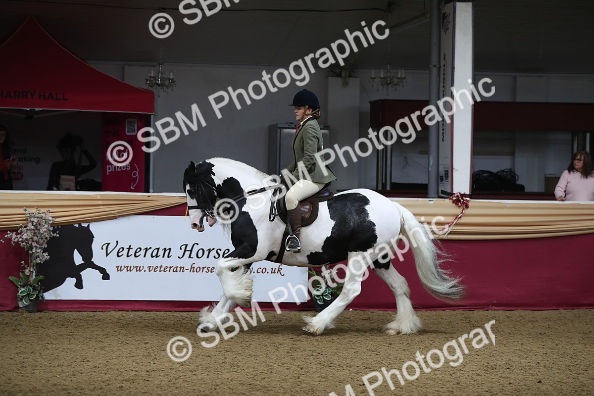 SBM_10441 - Class 102 Equitation (best rider) Adult