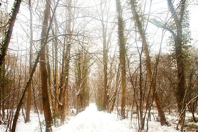  - Winter