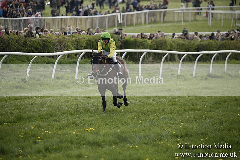 PtP 170417 353 - Old Berks Point-to-Point Lockinge 17/04/17
