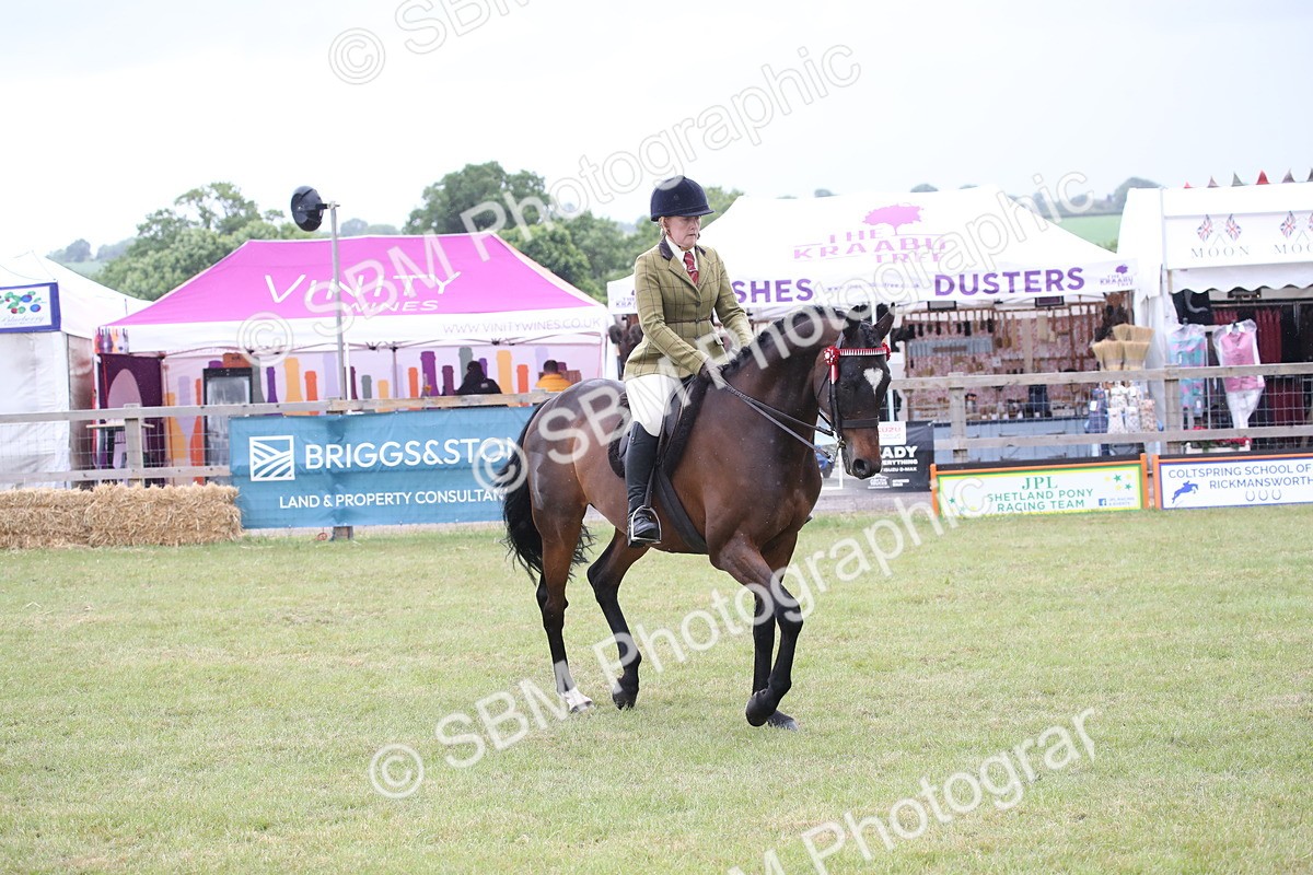 SBM_11439 - Class 94 - LIHS BSHA Racehorse to Showhorse