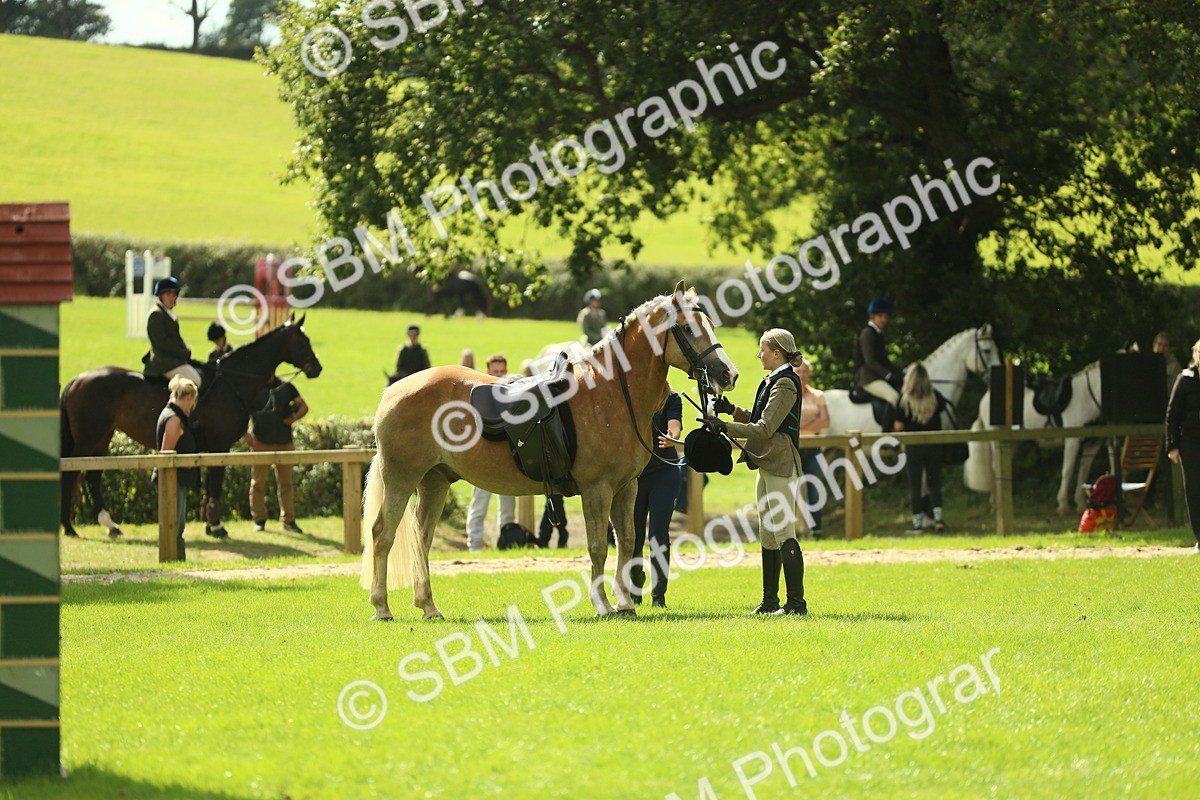 SBM_44717 - S31 - Working Hunter Pony