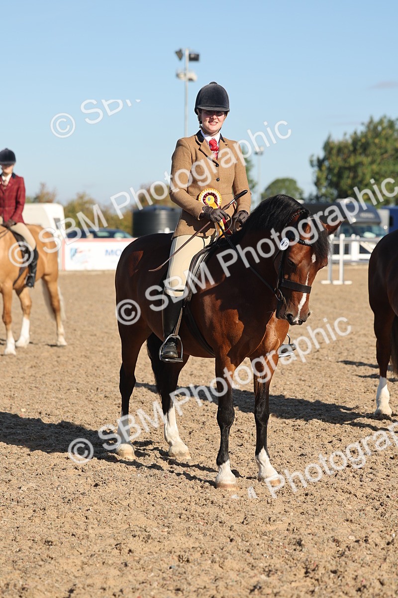 SBM_11126 - Class 302 - Ridden M&M Large Breeds