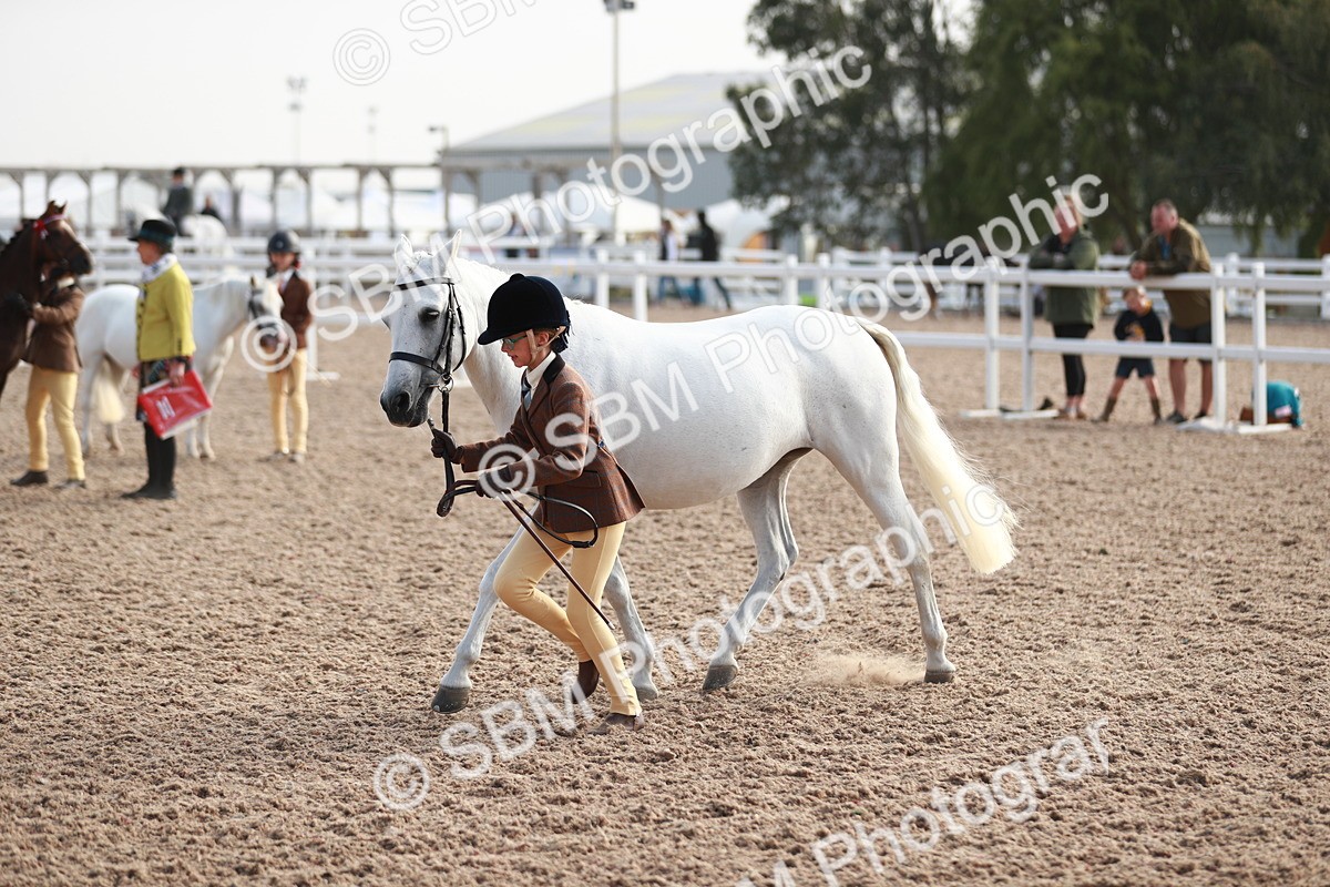 SBM_09891 - Class 203 Young Handler, 10 years and under