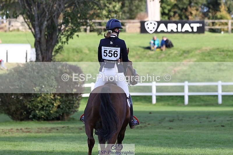 231022-160320-30082 - 556-SHANNONDALE.MOCHA-Lucy.Davies-TrotUp+SJ