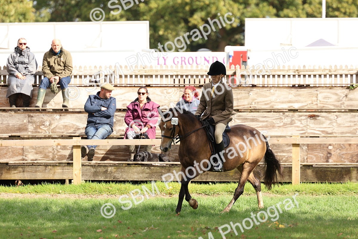 SBM_47718 - S28 - Veteran Ridden