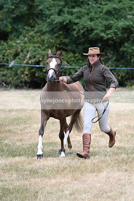 WJ7_1524 - Class 4 Prettiest Mare up to 14.2hh in hand