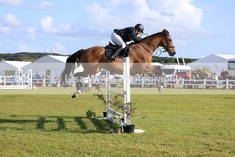 3E7A4353 - Class C: Showjumping Senior Foxhunter