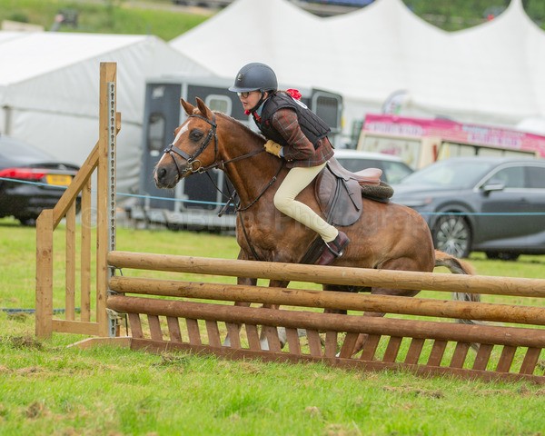 Dunblane show-40 - Dunblane and Doune Show Ring 1