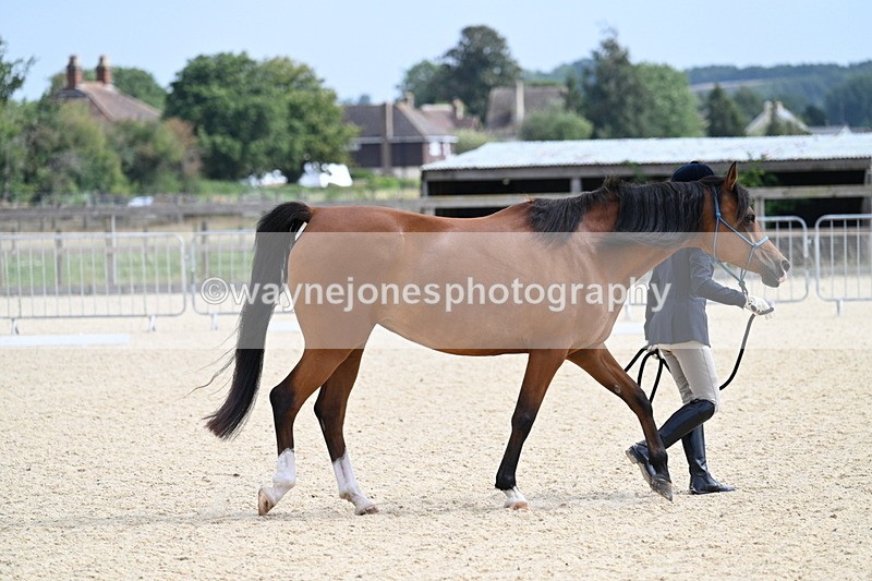 WJ7_1795 - In Hand