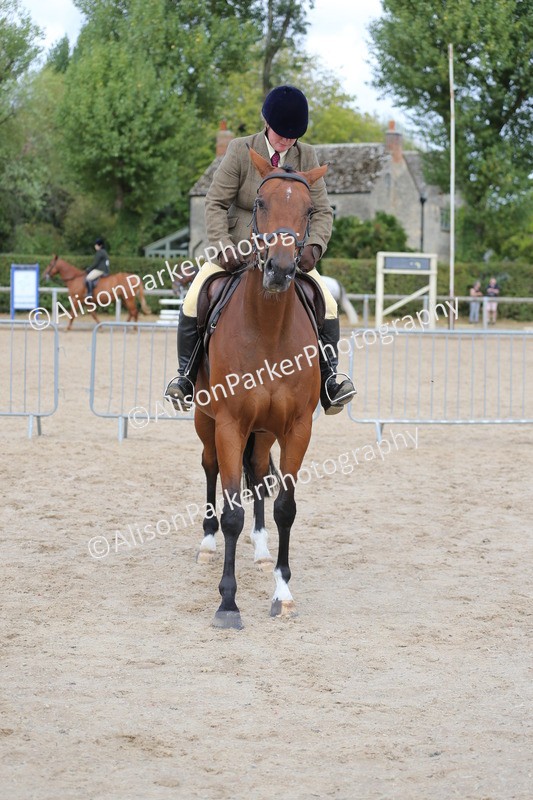 20260831-2632 - Class 15 - Ridden Retraining of Racehorses