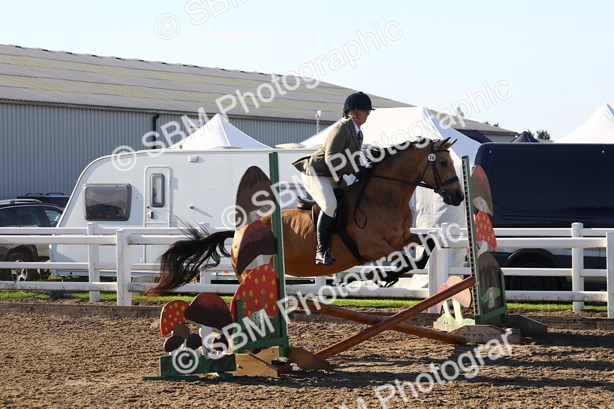 SBM_07910 - Class 501 - Riding Club Pony