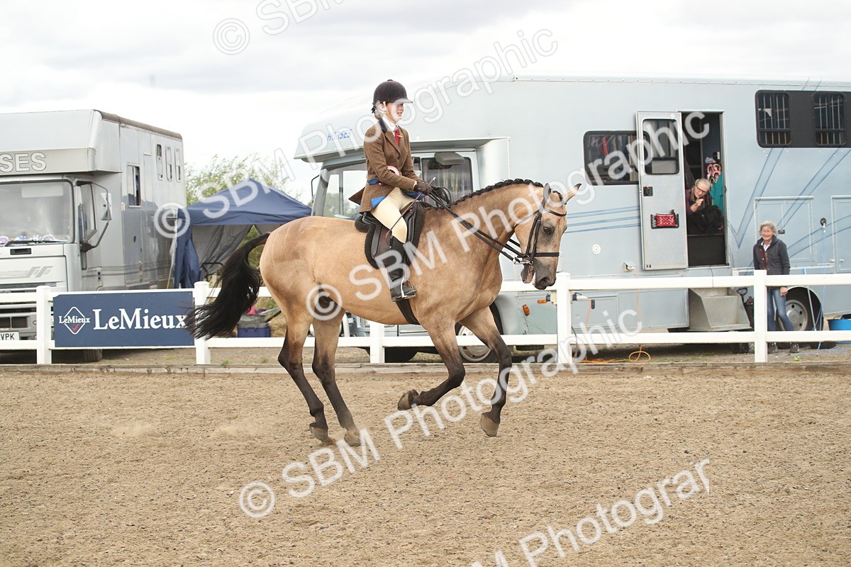 SBM_16723 - Class 507a - Working Veteran - 60cm (15-19)