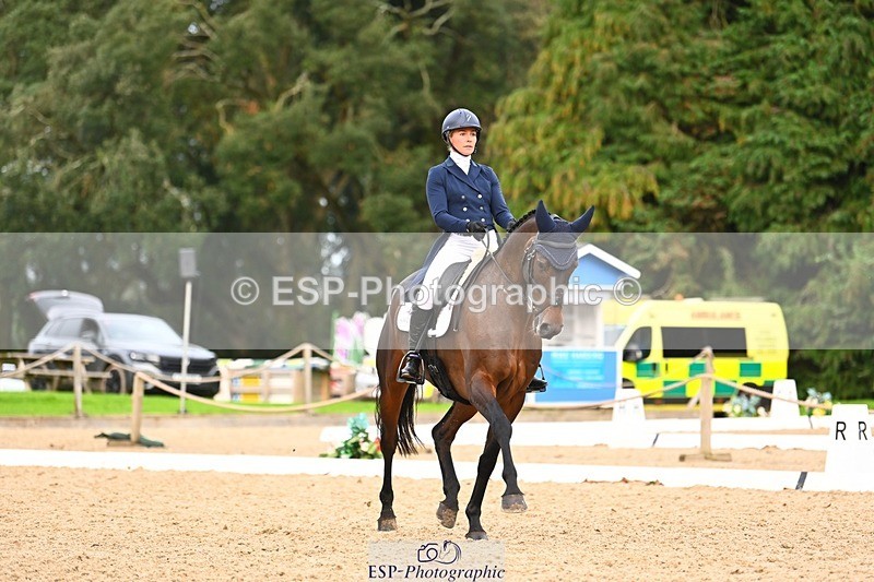 231020-161941-12212 - 338-GLOBAL.CANDY.BOY-Georgie.Campbell-DR