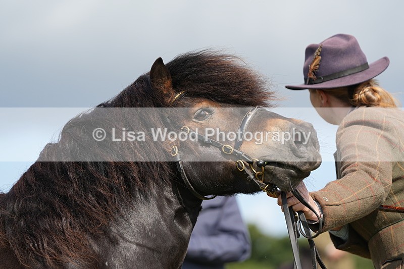 DSC05317 - Class 49: NPS Shetland 4 years and over