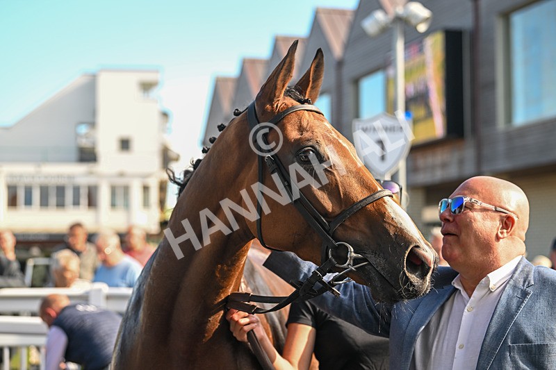 090925-Race 4-U Sure Do-9018 - Race 4