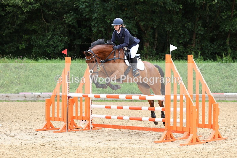 3E7A5990 - Class 4: Senior British Novice/90cm open
