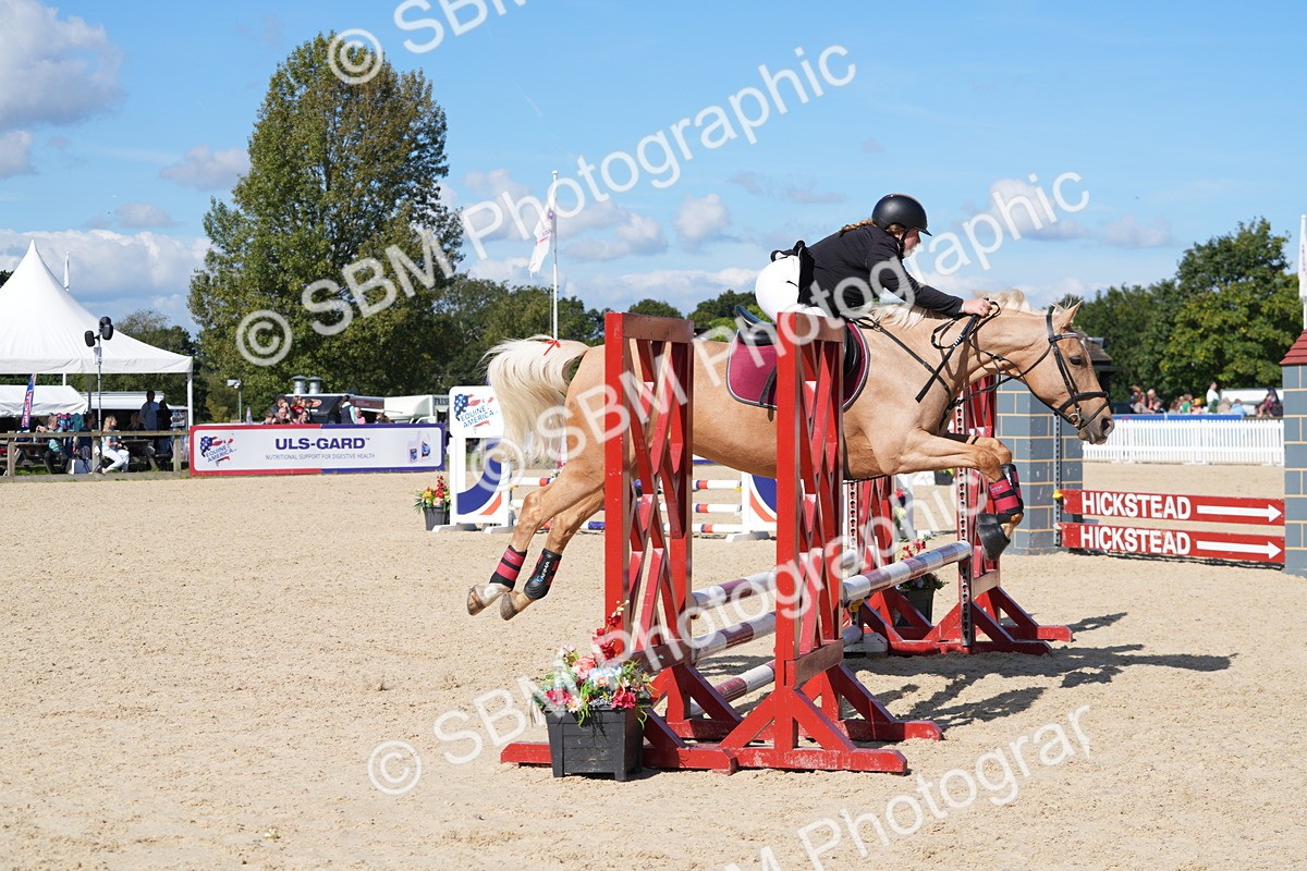 SBM_38806 - J21 - Junior Horse 60cm Championship